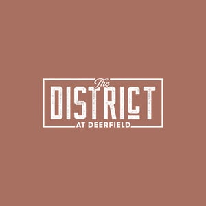 Website_District_Logo_02