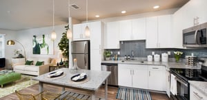 Picture 11_MAITLAND_NEW5-2048x998