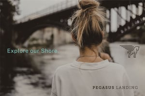 14_Website---Pegasus-Branding-Photo