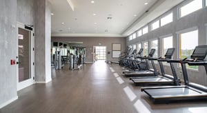 06_Lynwind-4-06d81a775056fb09bd78bf39c86fd45d