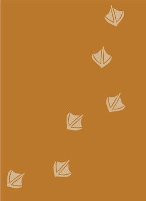 Website---LuxBassPro-Overview-Graphic